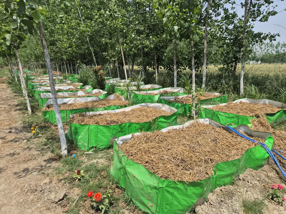 20250410_120514 (1).webp